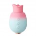 Ankni - Cherry Lips Realistic Oral Suction Vibrator (Chargeable - Pink)