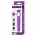 Pretty Love - Gianna Mini Massage (Chargeable - Purple)