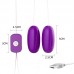 LILO - Powerful Dual Vibrating Eggs (USB Power Supply)