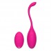 Y.LOVE - Female Wireless Remote Wireless Egg (Chargeable - Red Rose)
