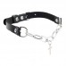 MizzZee - Pleasure Bondage Collar Restraint Set SM (Type B)
